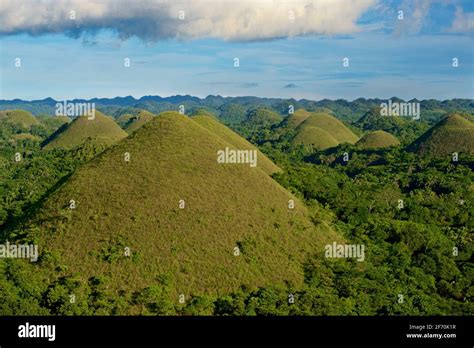 BUROL (Tagalog).